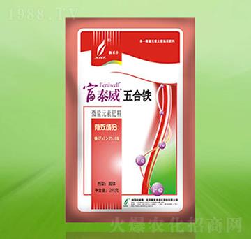 ����F-��̩��-�º��S