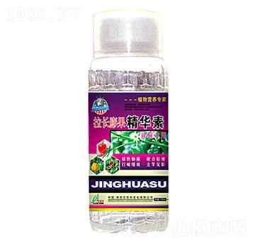 ���L������A��-�|���S