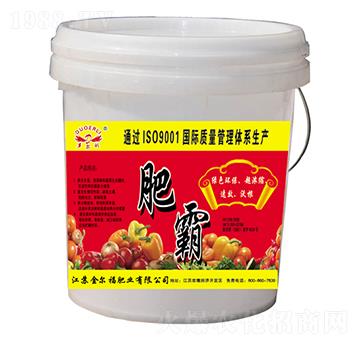 �ʰ�-�𠖸��ʘI(y��)