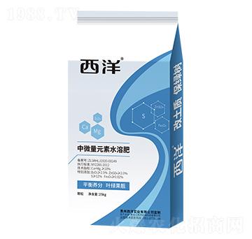 ����Ԫ��ˮ�ܷ�-�Z��ʩ����