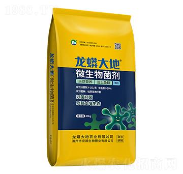 2�|��΢�������-�����׻���