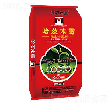 ����ľù΢�������-�������-���r(n��ng)���F