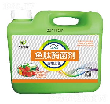 �~��ø�����������ɫ��-��̩����