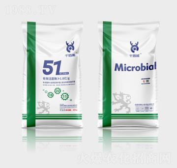 ǧ����΢�������51��