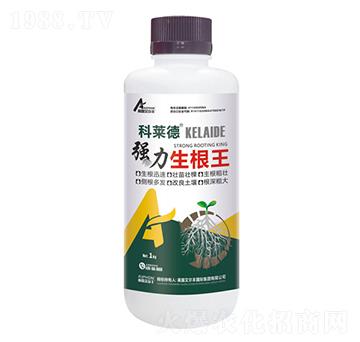 ����������-���R��-��¶�����S