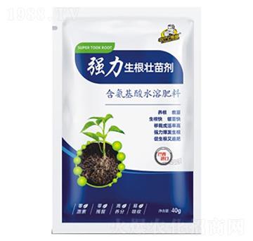 ��(qi��ng)���������焩-��˹��