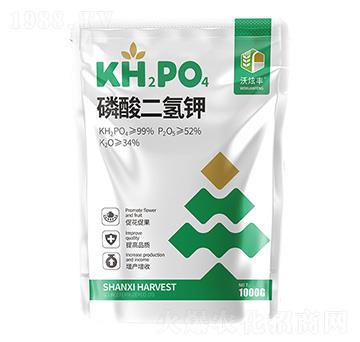 ��������-�����S-�ɿ����ʘI(y��)