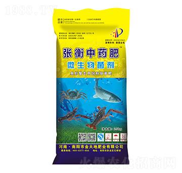 ������ˎ��-���طʘI(y��)