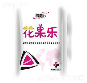 ������-���°�