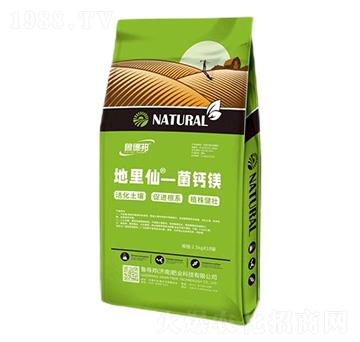 菌鈣鎂-地里仙-魯?shù)掳? />
</div>
</div>
<style type=