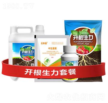 �_�������ײ�G-�ƴ�Ƽ�