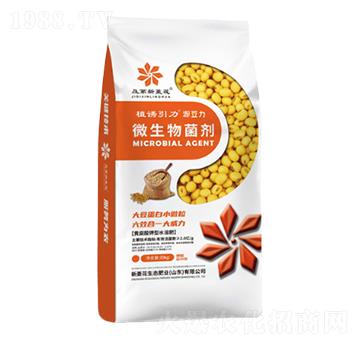 Դ����΢�������-���⻨