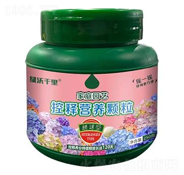 �C���ͼ�ͥ�@ˇ��ጠI(y��ng)�B(y��ng)�w��-�G��ǧ��-�G�ַʘI(y��)