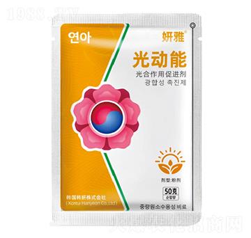 ������ô��M(j��n)��-���š������-ϲ��{��